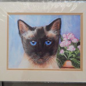 Seal Point Siamese Cat
